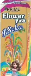 Flower Pots Ashoka (10Pcs)